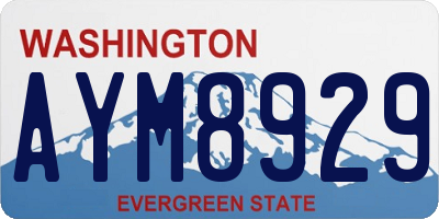 WA license plate AYM8929