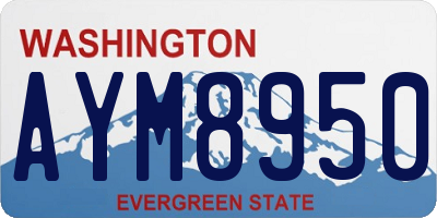 WA license plate AYM8950
