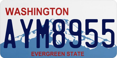 WA license plate AYM8955