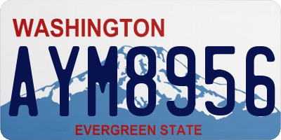 WA license plate AYM8956