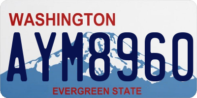 WA license plate AYM8960