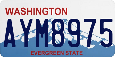 WA license plate AYM8975