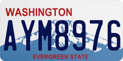 WA license plate AYM8976