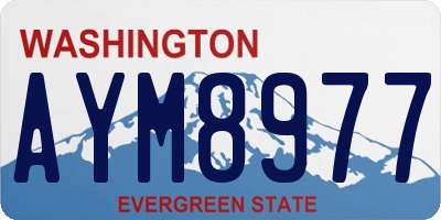 WA license plate AYM8977