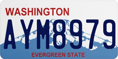 WA license plate AYM8979