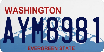 WA license plate AYM8981