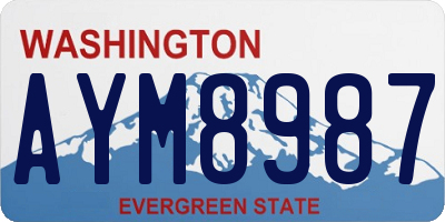 WA license plate AYM8987
