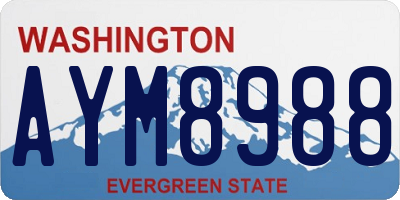 WA license plate AYM8988