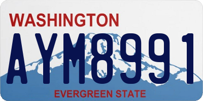 WA license plate AYM8991