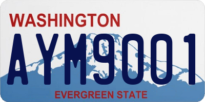 WA license plate AYM9001