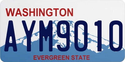 WA license plate AYM9010
