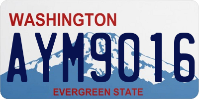 WA license plate AYM9016