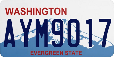 WA license plate AYM9017
