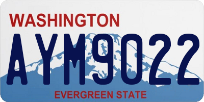 WA license plate AYM9022