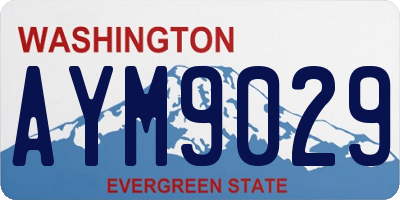 WA license plate AYM9029