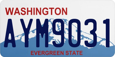 WA license plate AYM9031