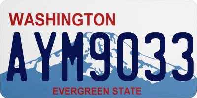 WA license plate AYM9033