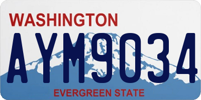 WA license plate AYM9034