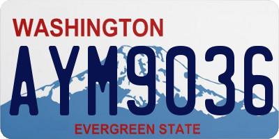 WA license plate AYM9036