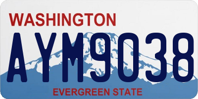 WA license plate AYM9038