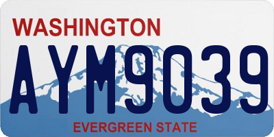 WA license plate AYM9039