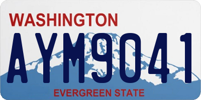 WA license plate AYM9041