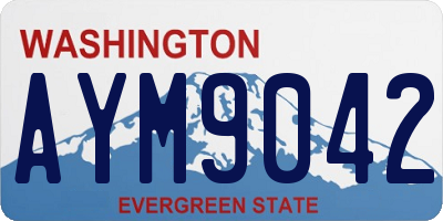 WA license plate AYM9042