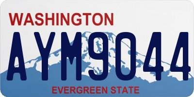 WA license plate AYM9044