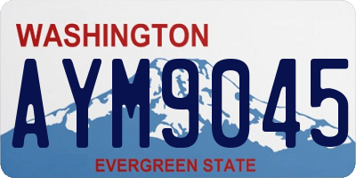 WA license plate AYM9045