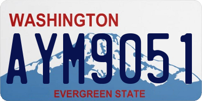 WA license plate AYM9051