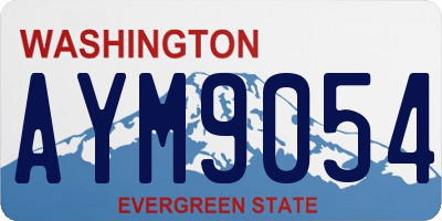 WA license plate AYM9054