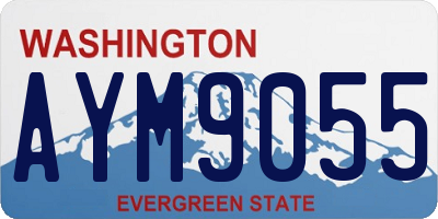 WA license plate AYM9055