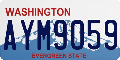 WA license plate AYM9059