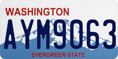 WA license plate AYM9063