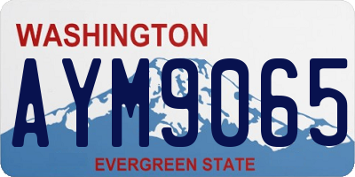 WA license plate AYM9065