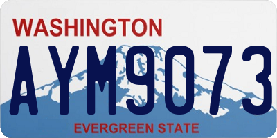 WA license plate AYM9073