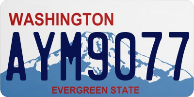 WA license plate AYM9077