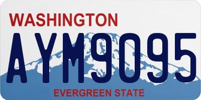 WA license plate AYM9095