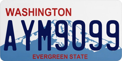 WA license plate AYM9099