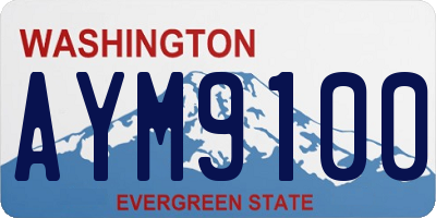 WA license plate AYM9100