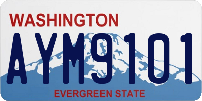 WA license plate AYM9101