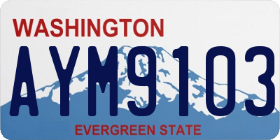 WA license plate AYM9103