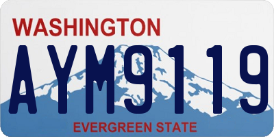 WA license plate AYM9119