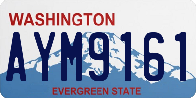 WA license plate AYM9161