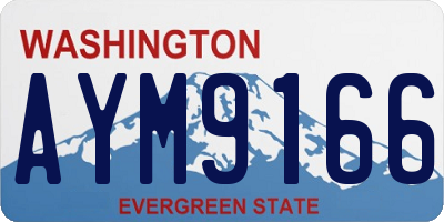 WA license plate AYM9166