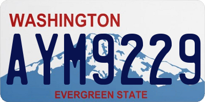 WA license plate AYM9229