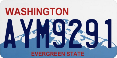 WA license plate AYM9291