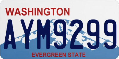 WA license plate AYM9299