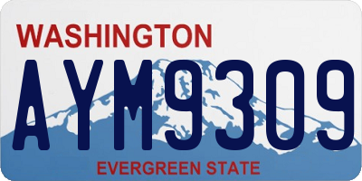 WA license plate AYM9309