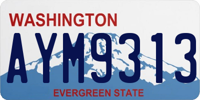 WA license plate AYM9313